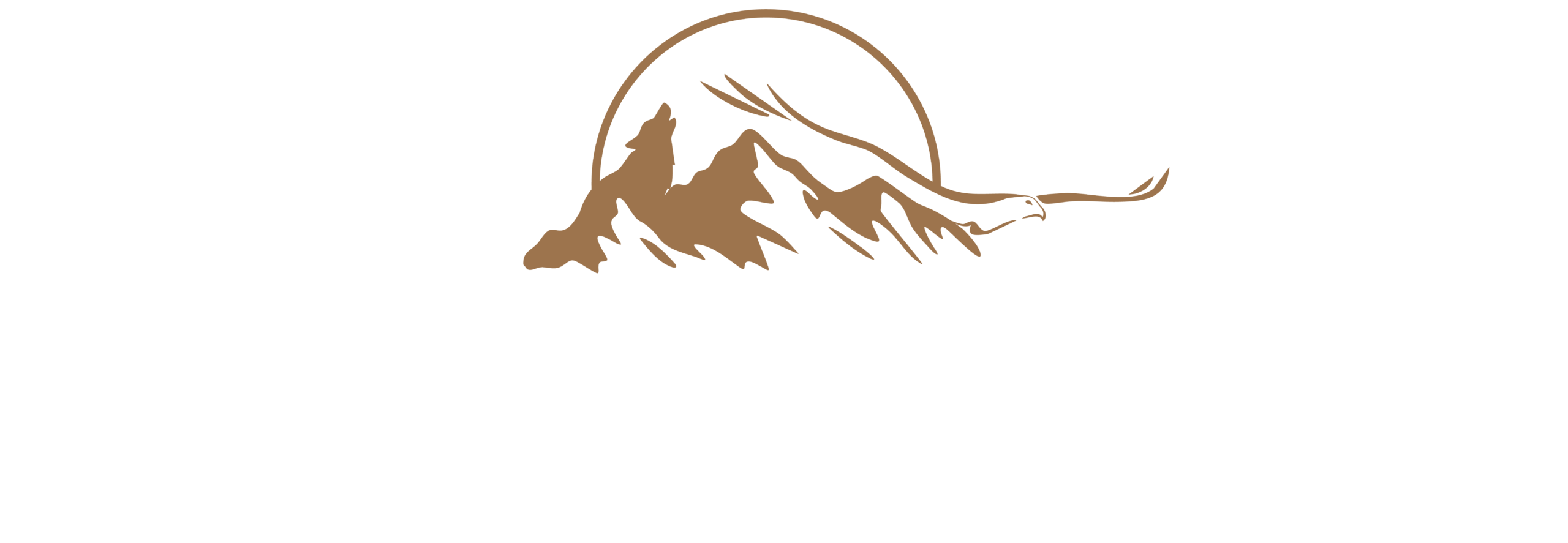 Brand Two logo